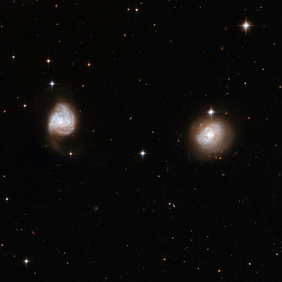 AM0702-601.jpg
